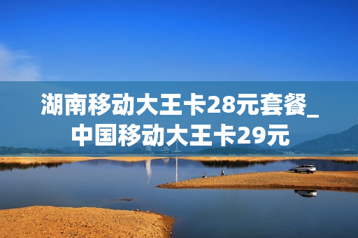湖南移动大王卡28元套餐_中国移动大王卡29元