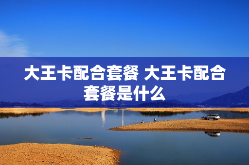 大王卡配合套餐 大王卡配合套餐是什么
