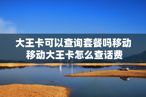 大王卡可以查询套餐吗移动 移动大王卡怎么查话费
