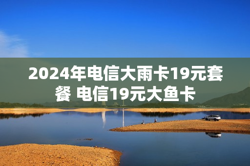 2024年电信大雨卡19元套餐 电信19元大鱼卡