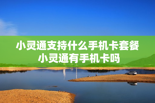 小灵通支持什么手机卡套餐 小灵通有手机卡吗