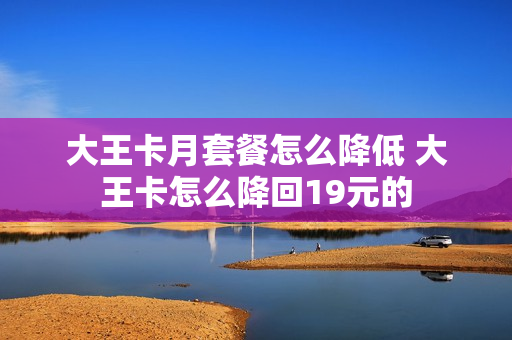 大王卡月套餐怎么降低 大王卡怎么降回19元的