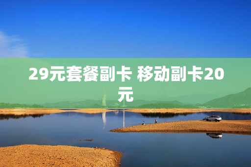 29元套餐副卡 移动副卡20元