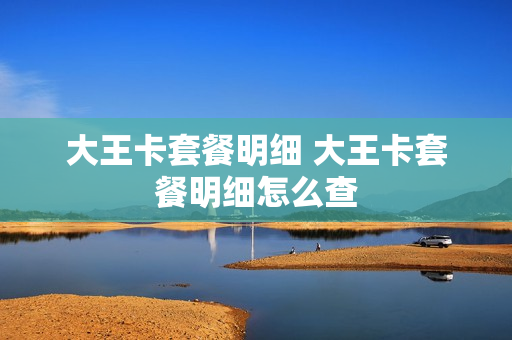 大王卡套餐明细 大王卡套餐明细怎么查