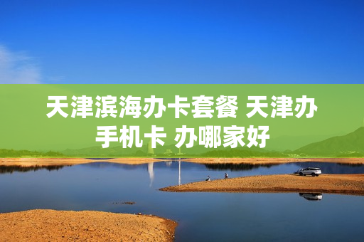 天津滨海办卡套餐 天津办手机卡 办哪家好