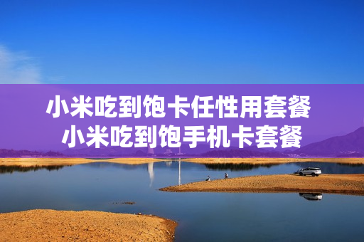 小米吃到饱卡任性用套餐 小米吃到饱手机卡套餐