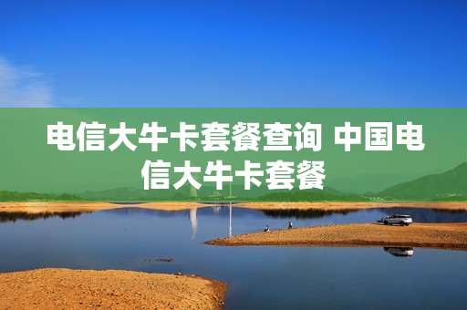 电信大牛卡套餐查询 中国电信大牛卡套餐