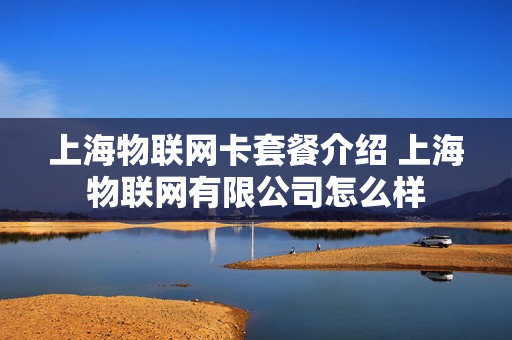 上海物联网卡套餐介绍 上海物联网有限公司怎么样