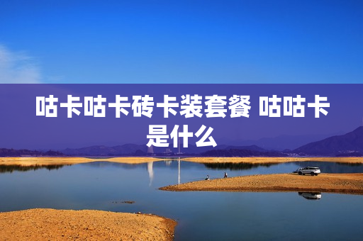咕卡咕卡砖卡装套餐 咕咕卡是什么