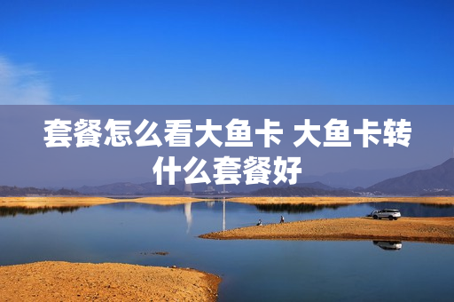 套餐怎么看大鱼卡 大鱼卡转什么套餐好