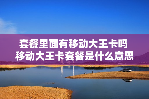 套餐里面有移动大王卡吗 移动大王卡套餐是什么意思