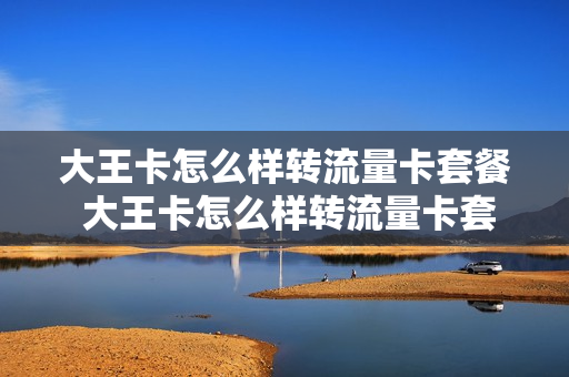 大王卡怎么样转流量卡套餐 大王卡怎么样转流量卡套餐呢