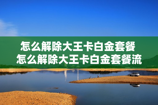 怎么解除大王卡白金套餐 怎么解除大王卡白金套餐流量包