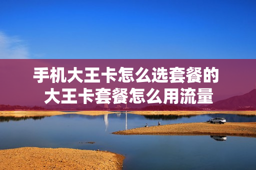 手机大王卡怎么选套餐的 大王卡套餐怎么用流量
