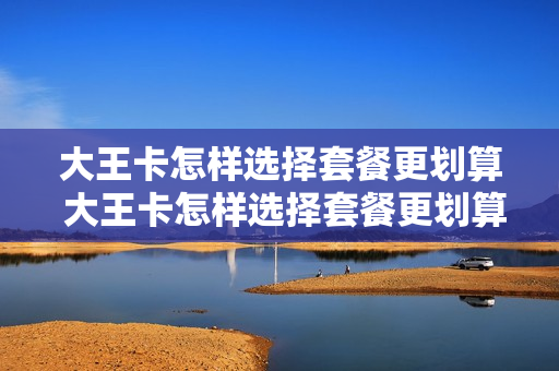 大王卡怎样选择套餐更划算 大王卡怎样选择套餐更划算一些
