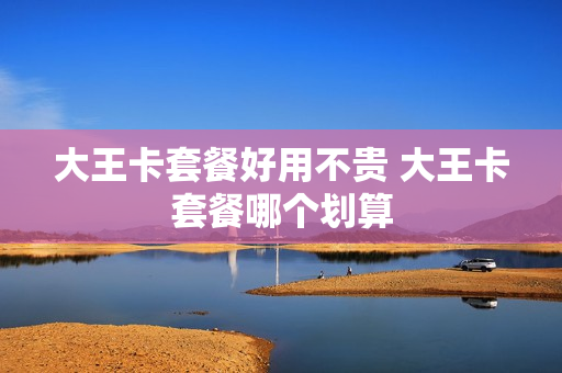 大王卡套餐好用不贵 大王卡套餐哪个划算