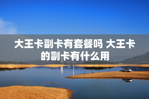 大王卡副卡有套餐吗 大王卡的副卡有什么用