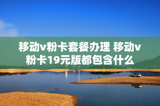 移动v粉卡套餐办理 移动v粉卡19元版都包含什么