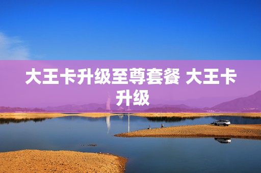 大王卡升级至尊套餐 大王卡 升级