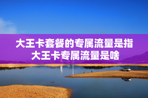 大王卡套餐的专属流量是指 大王卡专属流量是啥