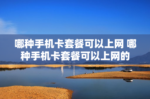 哪种手机卡套餐可以上网 哪种手机卡套餐可以上网的