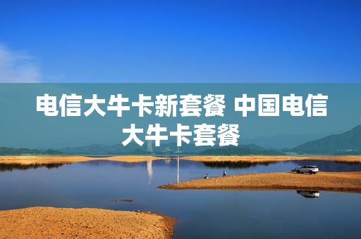 电信大牛卡新套餐 中国电信大牛卡套餐