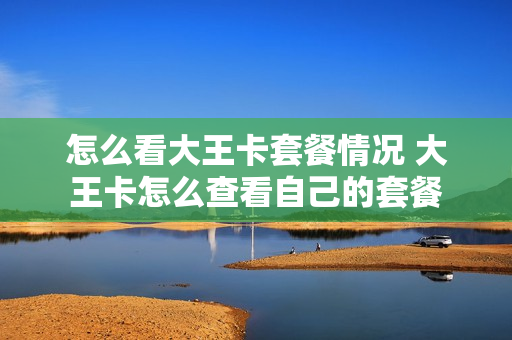 怎么看大王卡套餐情况 大王卡怎么查看自己的套餐