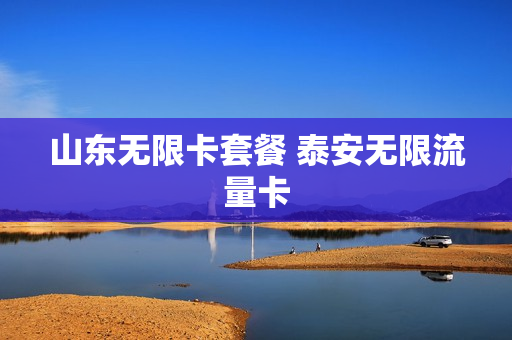 山东无限卡套餐 泰安无限流量卡