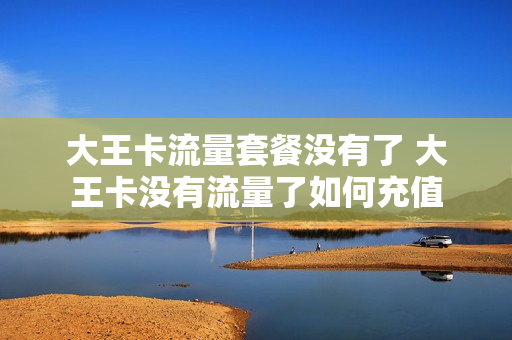 大王卡流量套餐没有了 大王卡没有流量了如何充值
