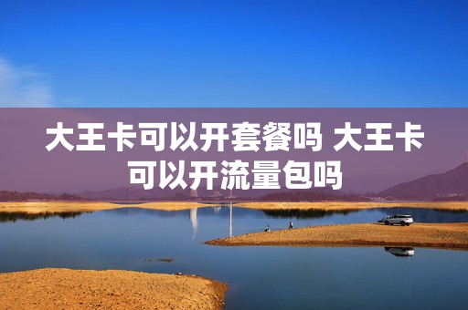 大王卡可以开套餐吗 大王卡可以开流量包吗