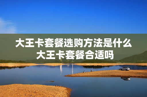 大王卡套餐选购方法是什么 大王卡套餐合适吗