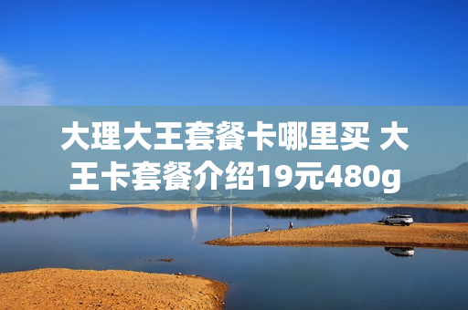 大理大王套餐卡哪里买 大王卡套餐介绍19元480g