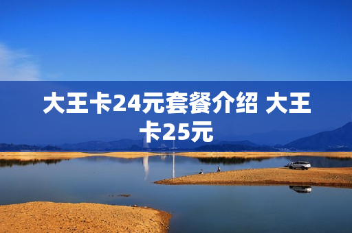 大王卡24元套餐介绍 大王卡25元