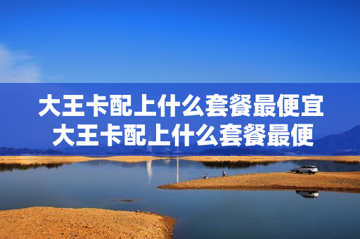 大王卡配上什么套餐最便宜 大王卡配上什么套餐最便宜呢