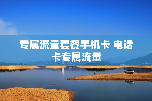 专属流量套餐手机卡 电话卡专属流量
