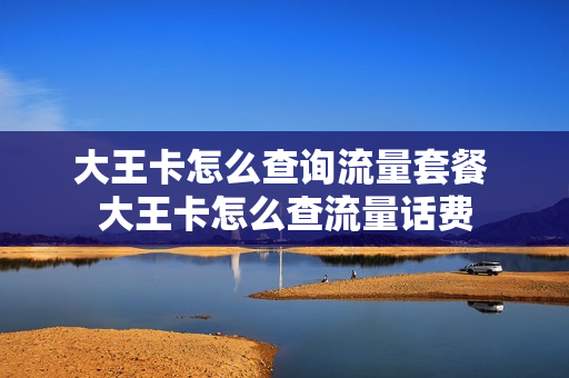 大王卡怎么查询流量套餐 大王卡怎么查流量话费