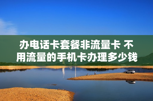 办电话卡套餐非流量卡 不用流量的手机卡办理多少钱