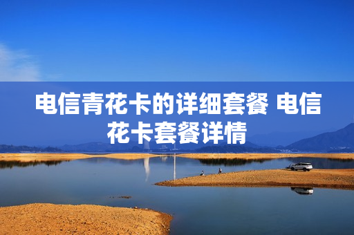 电信青花卡的详细套餐 电信花卡套餐详情