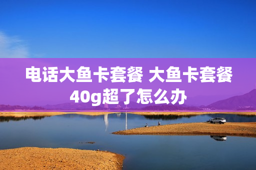 电话大鱼卡套餐 大鱼卡套餐40g超了怎么办