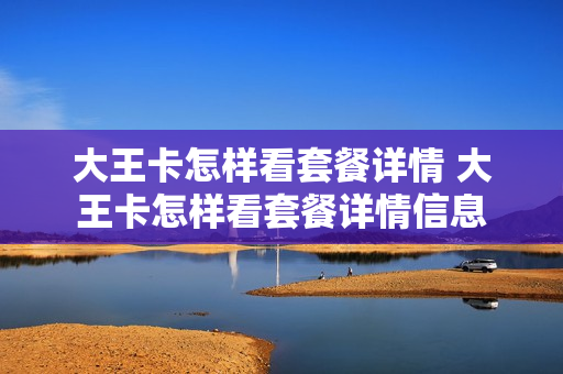 大王卡怎样看套餐详情 大王卡怎样看套餐详情信息