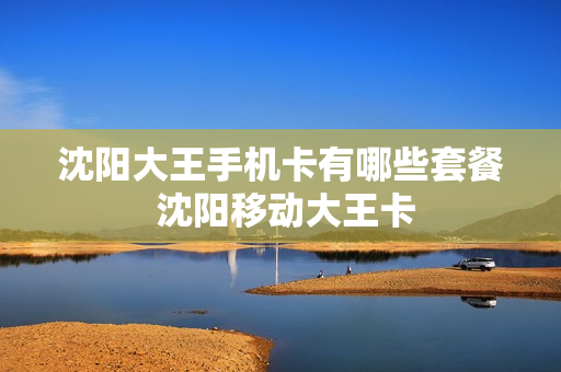 沈阳大王手机卡有哪些套餐 沈阳移动大王卡