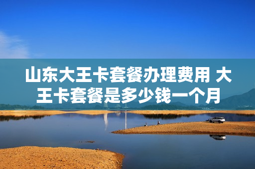 山东大王卡套餐办理费用 大王卡套餐是多少钱一个月