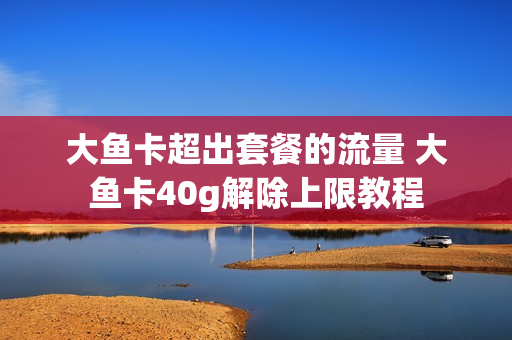 大鱼卡超出套餐的流量 大鱼卡40g解除上限教程