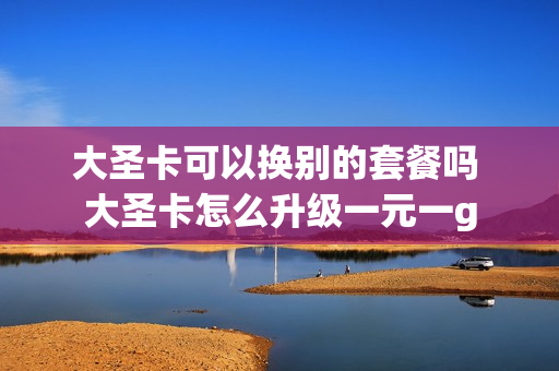 大圣卡可以换别的套餐吗 大圣卡怎么升级一元一g