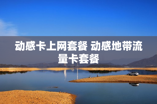 动感卡上网套餐 动感地带流量卡套餐