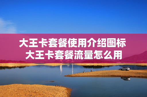 大王卡套餐使用介绍图标 大王卡套餐流量怎么用