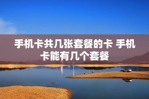 手机卡共几张套餐的卡 手机卡能有几个套餐