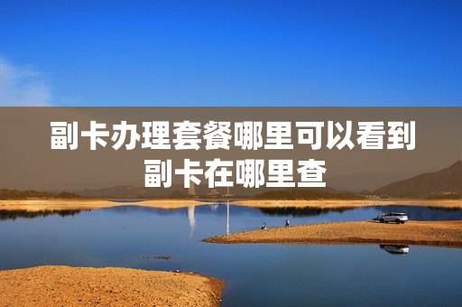 副卡办理套餐哪里可以看到 副卡在哪里查