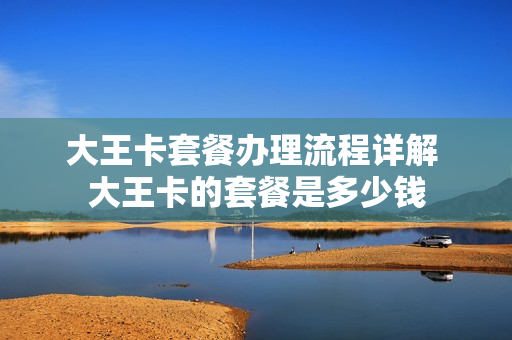 大王卡套餐办理流程详解 大王卡的套餐是多少钱