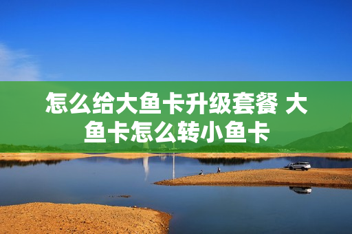 怎么给大鱼卡升级套餐 大鱼卡怎么转小鱼卡